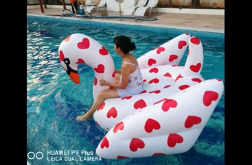 Red and white inflatable swan floating row