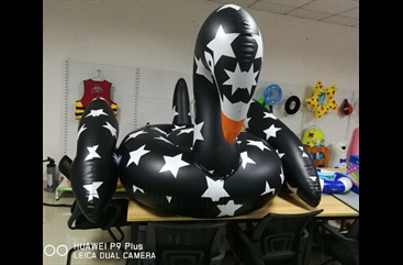 Black inflatable swan floating row