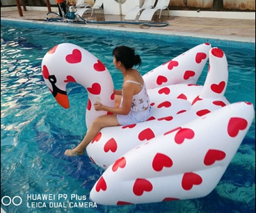 Red and white inflatable swan floating row